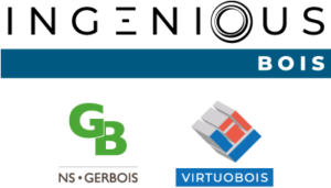 Logo_IGB-NSG-V